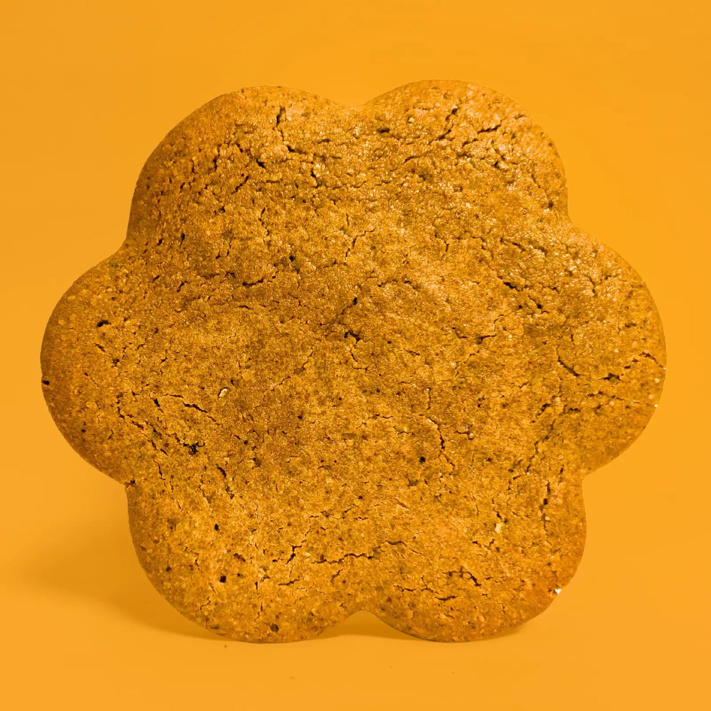 All protein cookie flavors bundle (10 cookies)