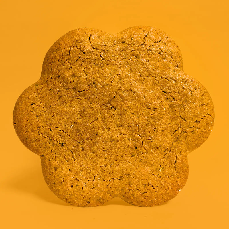 All protein cookie flavors bundle (10 cookies)